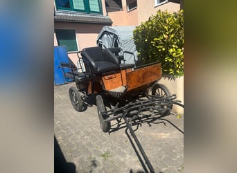 Heubedampfer Nuveq Expert Pro