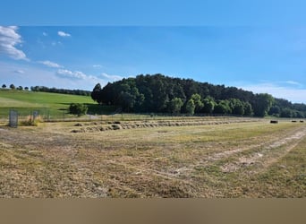Heuquaderballen