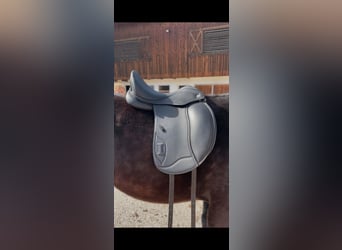 Ikonic EVO Dressursattel Doppelblatt 17,5 Zoll