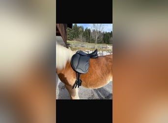 Ikonic EVO Dressursattel Doppelblatt 17,5 Zoll