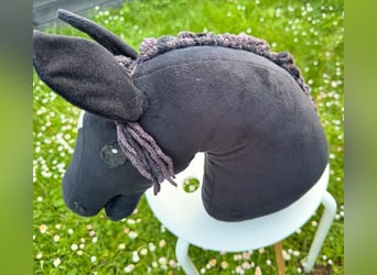 (Mensch sucht Pferd) Für eine Reitbeteiligung