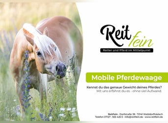 MOBILE PFERDEWAAGE, Pferde wiegen, Stockmaß, digitales Foto
