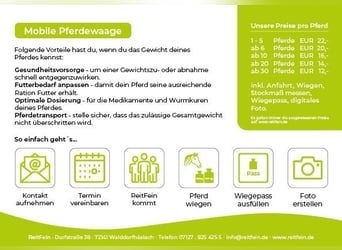 MOBILE PFERDEWAAGE, Pferde wiegen, Stockmaß, digitales Foto