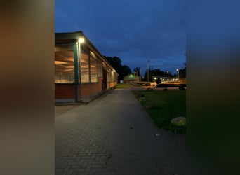Paddockboxen in 25482 Appen