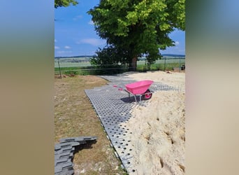 Paddockplatten/Kunststoffplatten von Pegasus Paddock