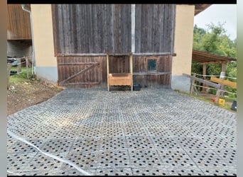 Paddockplatten/Kunststoffplatten von Pegasus Paddock