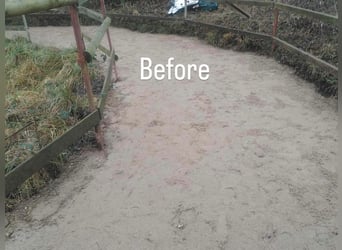 Paddockplatten/Kunststoffplatten von Pegasus Paddock
