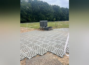 Paddockplatten/Kunststoffplatten von Pegasus Paddock