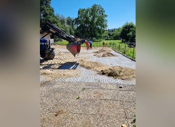 Paddockplatten/Kunststoffplatten von Pegasus Paddock
