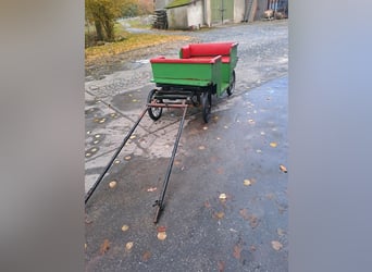 Reitbeteiligung in Vlotho-Valdorf