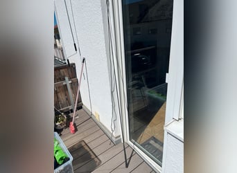 Reitchaps, schwarz, Gr. S