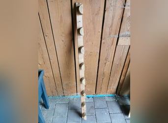 Reiterin gesucht /Mitreiterin /Pflegebeteiligung
