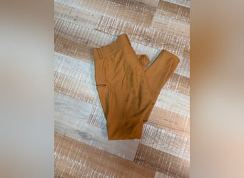 Reiterin gesucht /Mitreiterin /Pflegebeteiligung