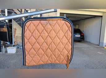 Schabracke Dressur