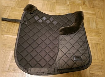 Schabracke Dressur