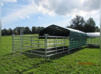 SONDERAKTION Zaunelemente Panels 3m