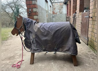Stallone Outdoordecke 200g