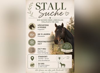 Suche Profi Reitlehrerin für Dressur 100€ auf eigenem Reitplatz!