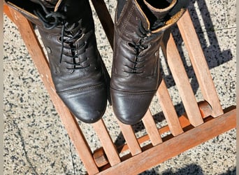 Südwind Reitstiefeletten dunkelbraun Gr. 39