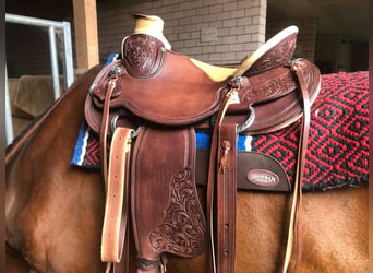 Wade Westernsattel Guido Netzer custommade Equiflex