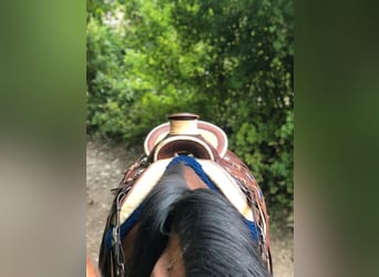 Wade Westernsattel Guido Netzer custommade Equiflex