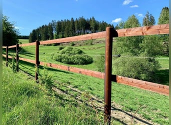 Weidezaun 200m SET Koppelzaun Pferdezaun Zaun Holz Weide Pferde