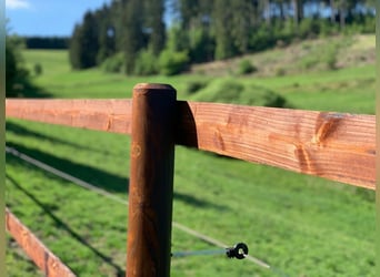Weidezaun 200m SET Koppelzaun Pferdezaun Zaun Holz Weide Pferde