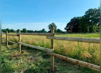 Weidezaun 200m SET Koppelzaun Pferdezaun Zaun Holz Weide Pferde
