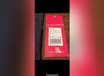 Cavallo Reithose 72 / 36