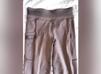 Kingsland Reitleggings Gr. S