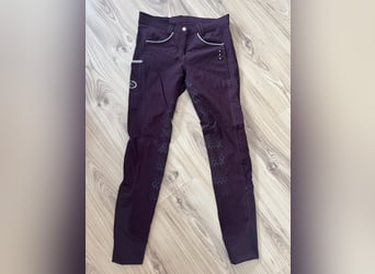 Neue Reithose 
