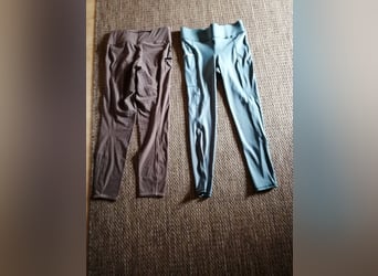 Reit-Leggins