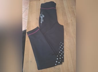 Reitleggins Gr. 164