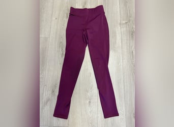 Tolle Reitleggins von Equilibre in 164