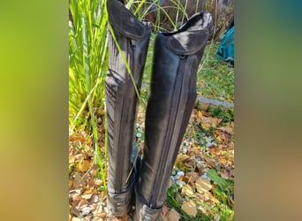 Ariat Ascent Tall riding Boot 