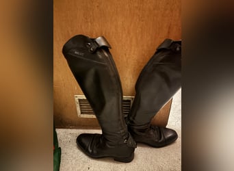 Ariat Reitstiefel