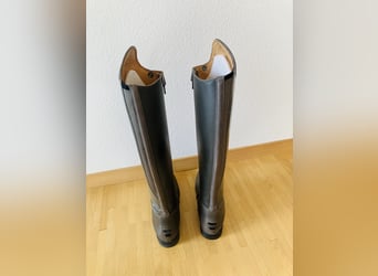 Busse Laval in wunderschönem Grau