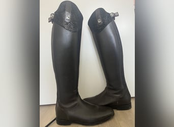 Cavallo Linus Dressur braun 