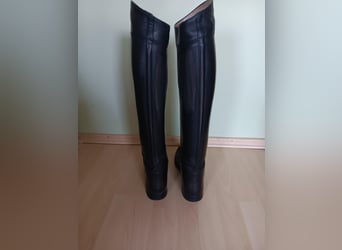 Dressurstiefel der Firma König zu verlaufen