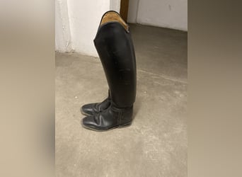 Königs Sir 4 1/2