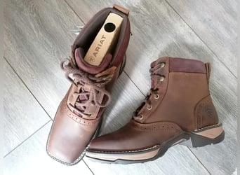 NEUE Stiefeletten Reitschuhe ARIAT - Anthem Lacer 37
