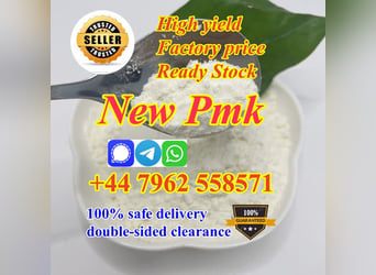 2025 latest product new pmk powder with top quality trusted factory 