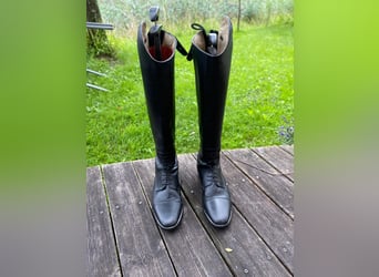 TATTINI Reitstiefel Neu