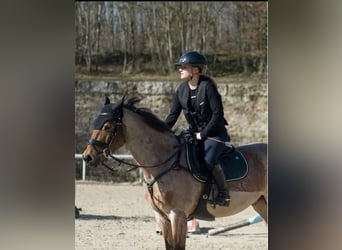 Hit Air Airbag Reitweste Sicherheitsweste Springweste Airbagweste 