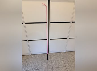 Dressurgerte Neu