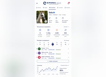EPONA ONLINE – Digitale Pferdeverwaltung für Pferdebesitzer und Reiter