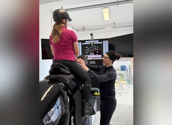 Feiner reiten. Besser punkten. Mit professioneller Sitzschulung auf dem Racewood®-Reitsimulator
