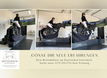 Feiner reiten. Besser punkten. Mit professioneller Sitzschulung auf dem Racewood®-Reitsimulator