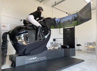 Feiner reiten. Besser punkten. Mit professioneller Sitzschulung auf dem Racewood®-Reitsimulator