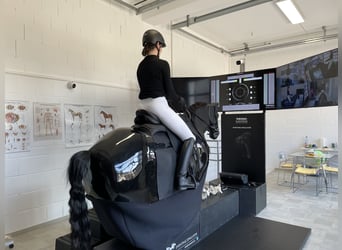 Feiner reiten. Besser punkten. Mit professioneller Sitzschulung auf dem Racewood®-Reitsimulator